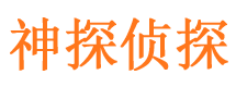 江汉市侦探公司